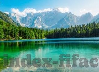88足球比分直播-88足球比分直播，球迷的实时战场与激情港湾